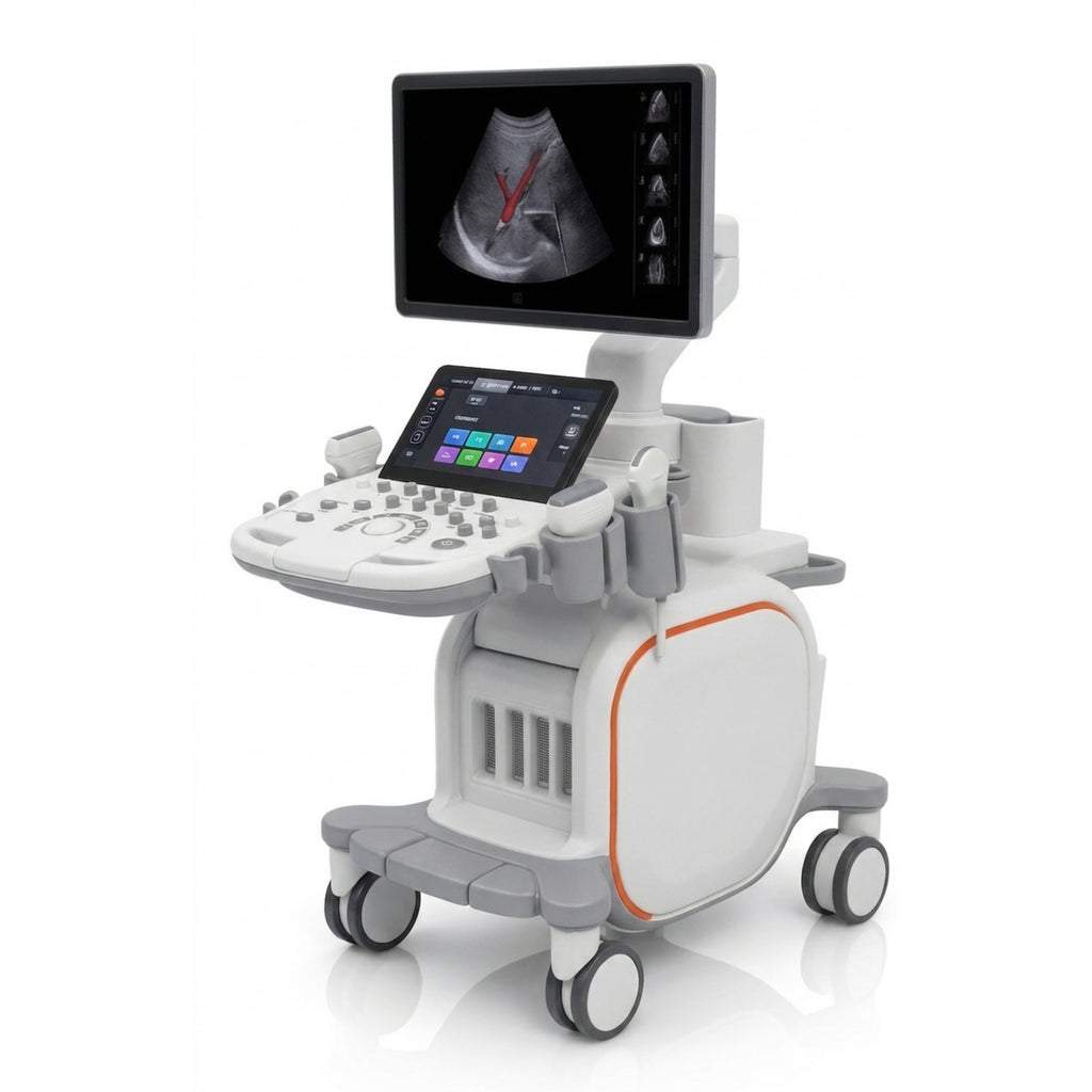 Mini Sonography Model